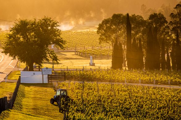 Countryside, Hunter Valley