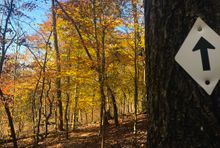 Rotary Park's intersecting trails give hikers an iconic Middle Tennessee outdoors experience.