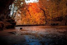 Dunbar Cave State Park is the city's most popular spot to experience and photograph beautiful fall foliage.