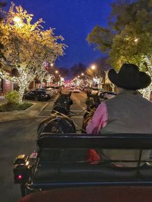 Holiday Carriage Rides in Visalia, California