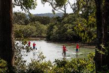 Wajaana Yaam Gumbaynggirr Adventure Tours, Coffs Harbour.