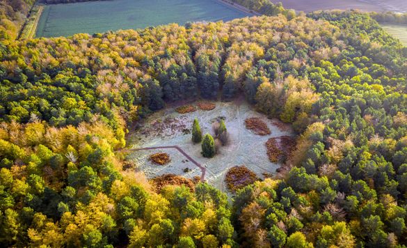 Visit East Lothian Binning Wood