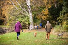 Visit East Lothian Gosford Autumn Walk