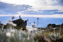 Thredbo Resort