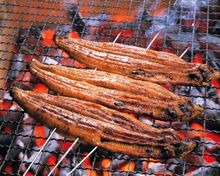 Eel grilling