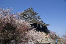 Hamamatsu Castle