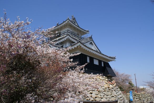 Hamamatsu Castle