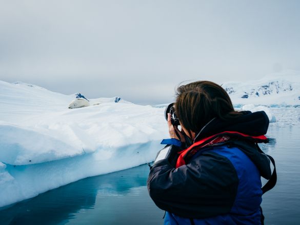 Photographing Seal, Paradise Harbour, Antarctica Photographing Seal, Paradise Harbour, Antarctica