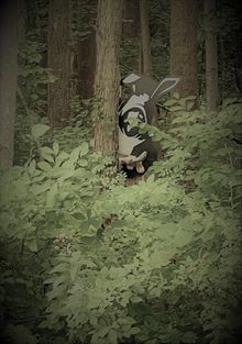 Bunnyman Brewing Co. in Fairfax, VA