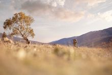 Hiking in Jindabyne, Snowy Mountains.