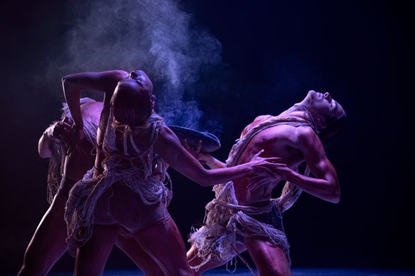 Bangarra Dance Theatre performance, Sydney.