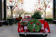 holidays_Christmas_Rams_Gate_by_Mariah_HarkeySonoma_County.jpg