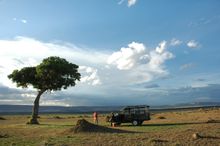 Sundowner drinks in the Masai Mara, Kenya