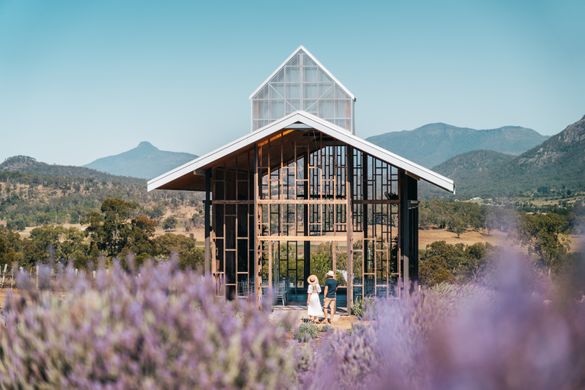 Kooroomba Vineyards and Lavender Farm