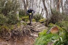 Thredbo Gravity Series