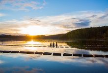 Captain Sponge's Magical Oyster Tour, Pambula River.