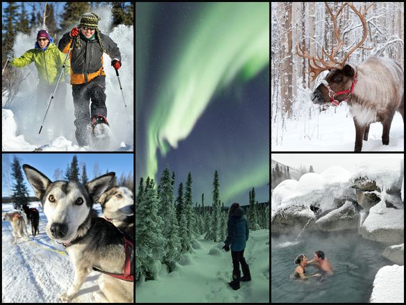 Some of the many wintertime activities available in Fairbanks, Alaska.