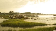 Virginia's Eastern Shore