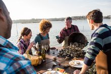 Virginia Oyster Experience