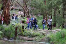 Wildlife Wonders 