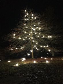 Two in the Hand illuminated at Stourhead