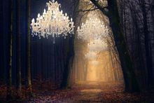 Chandelier Walkway at Hillsborough Castle and Gardens