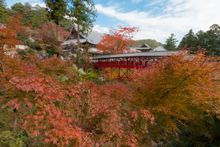 Okuyama Houkouji Autumn leaves