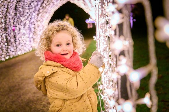A youngster in the Cathedral of Lights at Blenheim Palace. A youngster in the Cathedral of Lights at Blenheim Palace.