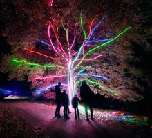 A family admire the Neon Tree