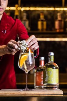 QT Sydney and Lyre's Bar None - Spritz 