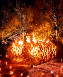 Fire Garden