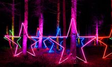 Tree Stars
