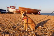 Deal Beach