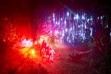 A family look on in wonder at the Wimpole Christmas Light Trail