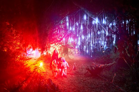 A family look on in wonder at the Wimpole Christmas Light Trail