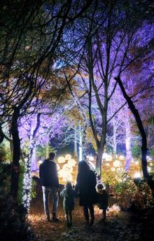 A family enjoy the lights trail