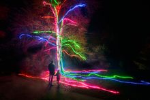 Neon Tree