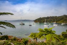 Bradleys Head to Chowder Bay Walk, Mosman.