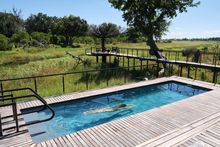 Pool at Xigera, Botswana