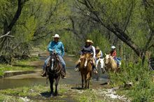 Circle Z Ranch trail ride