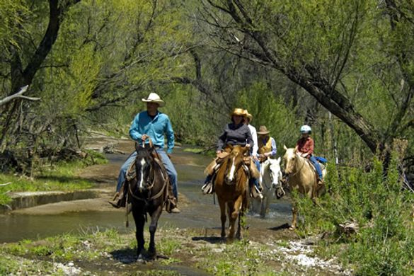 Circle Z Ranch trail ride
