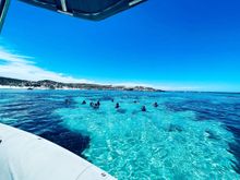 Rottnest Snorkel new tours