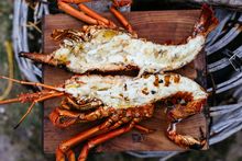 Crayfish