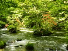 Oirase Mountain Stream