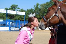 Miss Benson Kisses the Grand Champion Mule