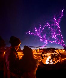 Ignite trail which will be at Nymans next month