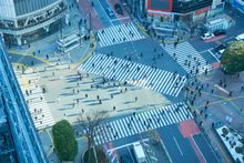 Shibuya Scramble Crossing