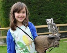 Close encounters at Birdland