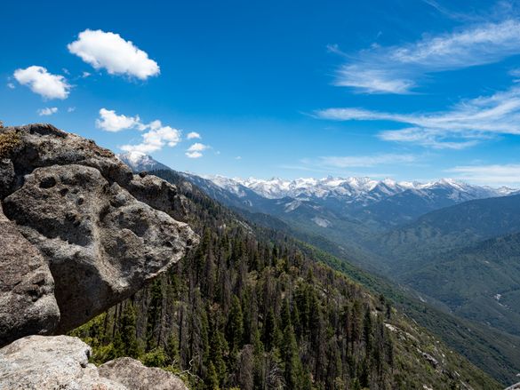 Views of Sequoia National Park near Visalia, CA