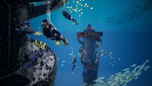 Wonder Reef
